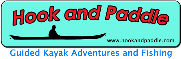 Hook and Paddle - Blog